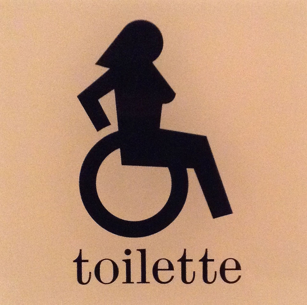 wheelchair woman inclusion free photo