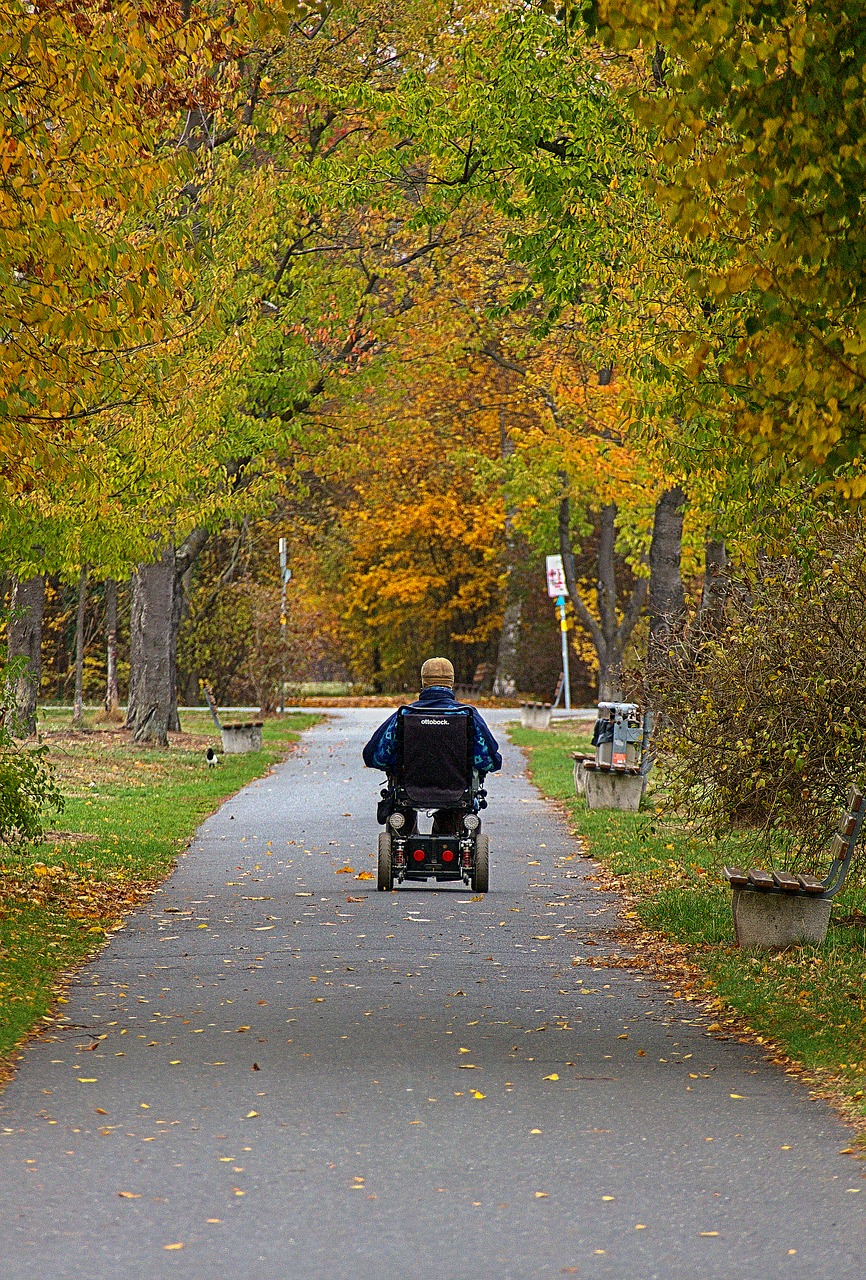 wheelchair  autumn  park free photo