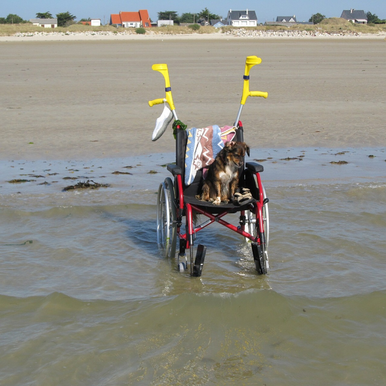 wheelchair beach holiday free photo