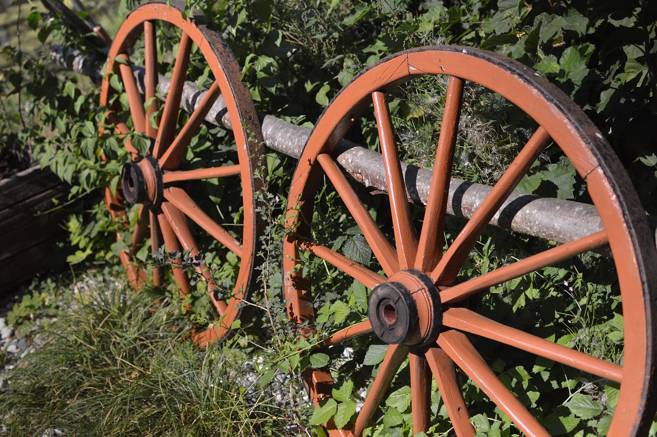 wheels wheel nature free photo