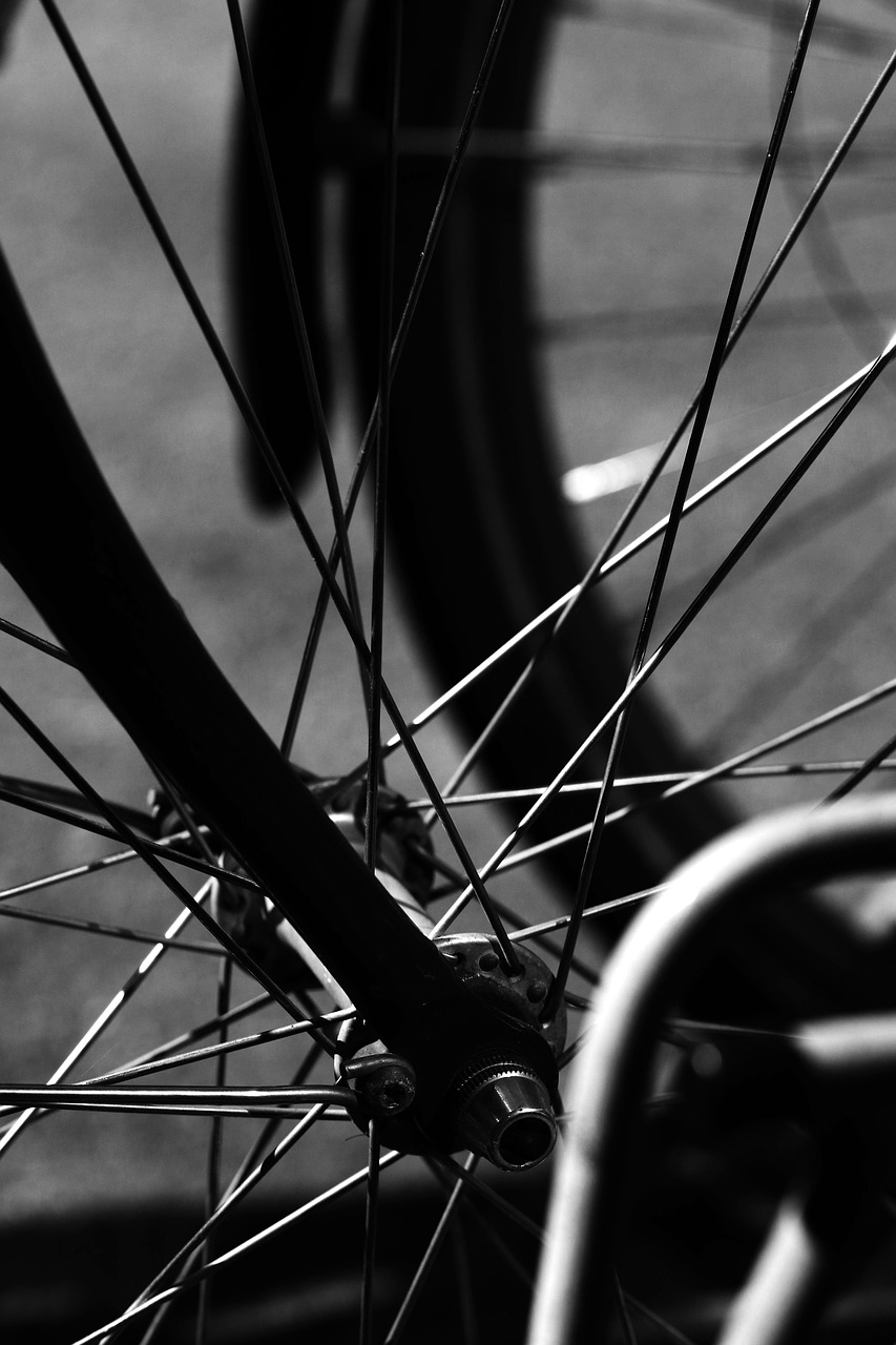 wheels wheel bicycle free photo