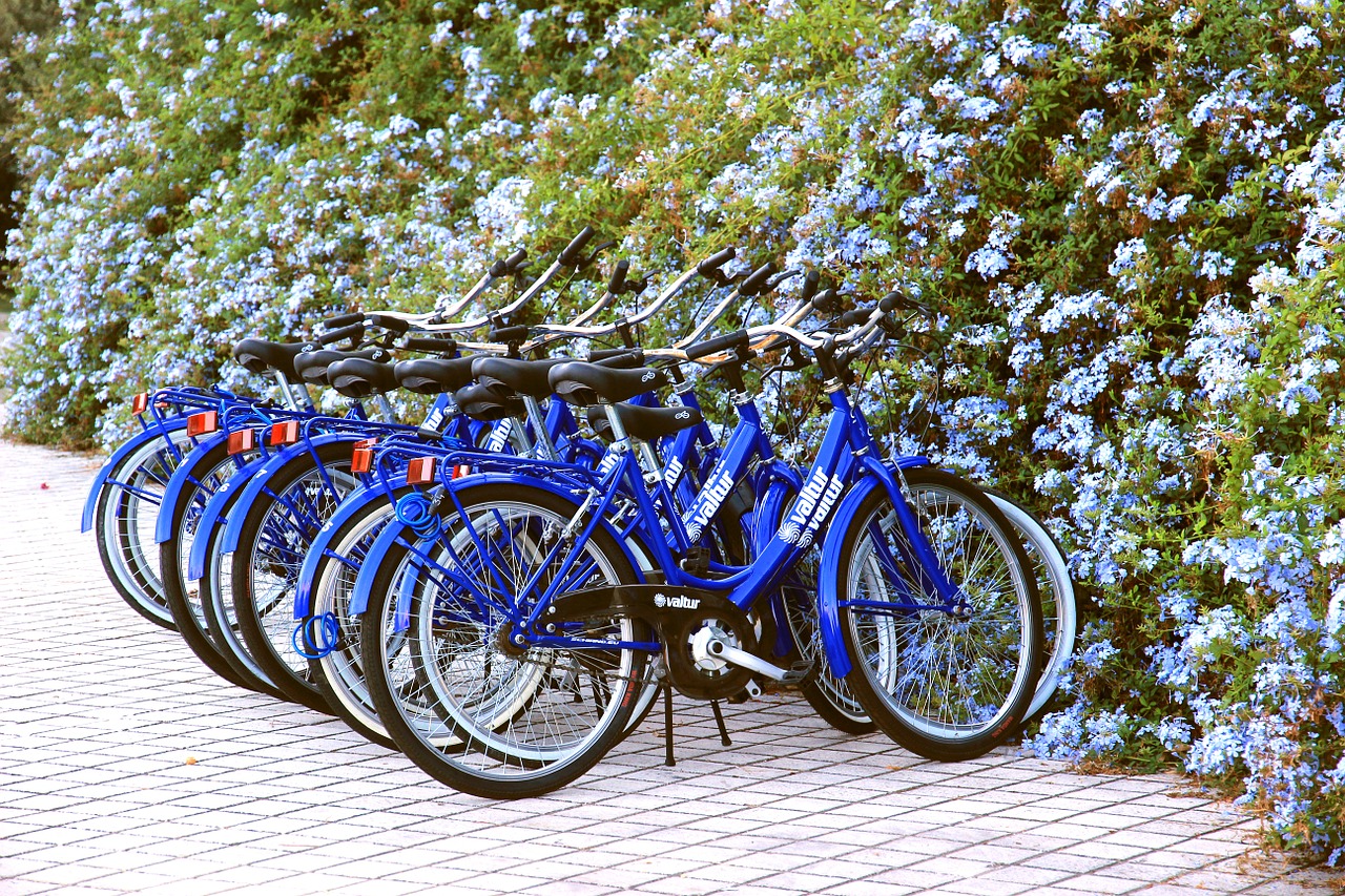 wheels bicycles blue free photo