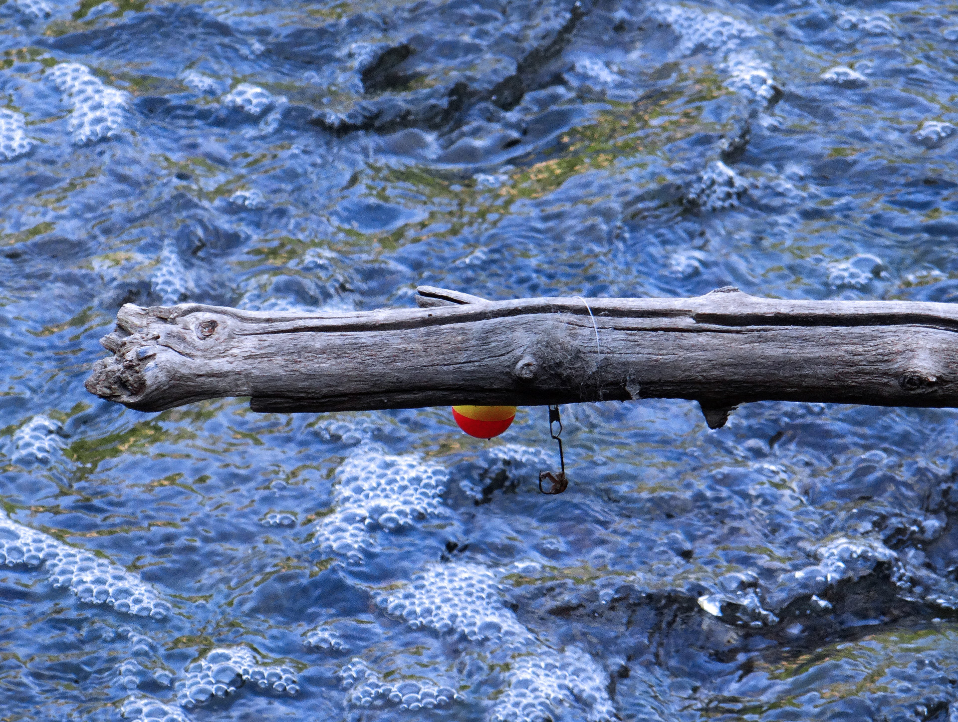 fishing bobber tree branch free photo