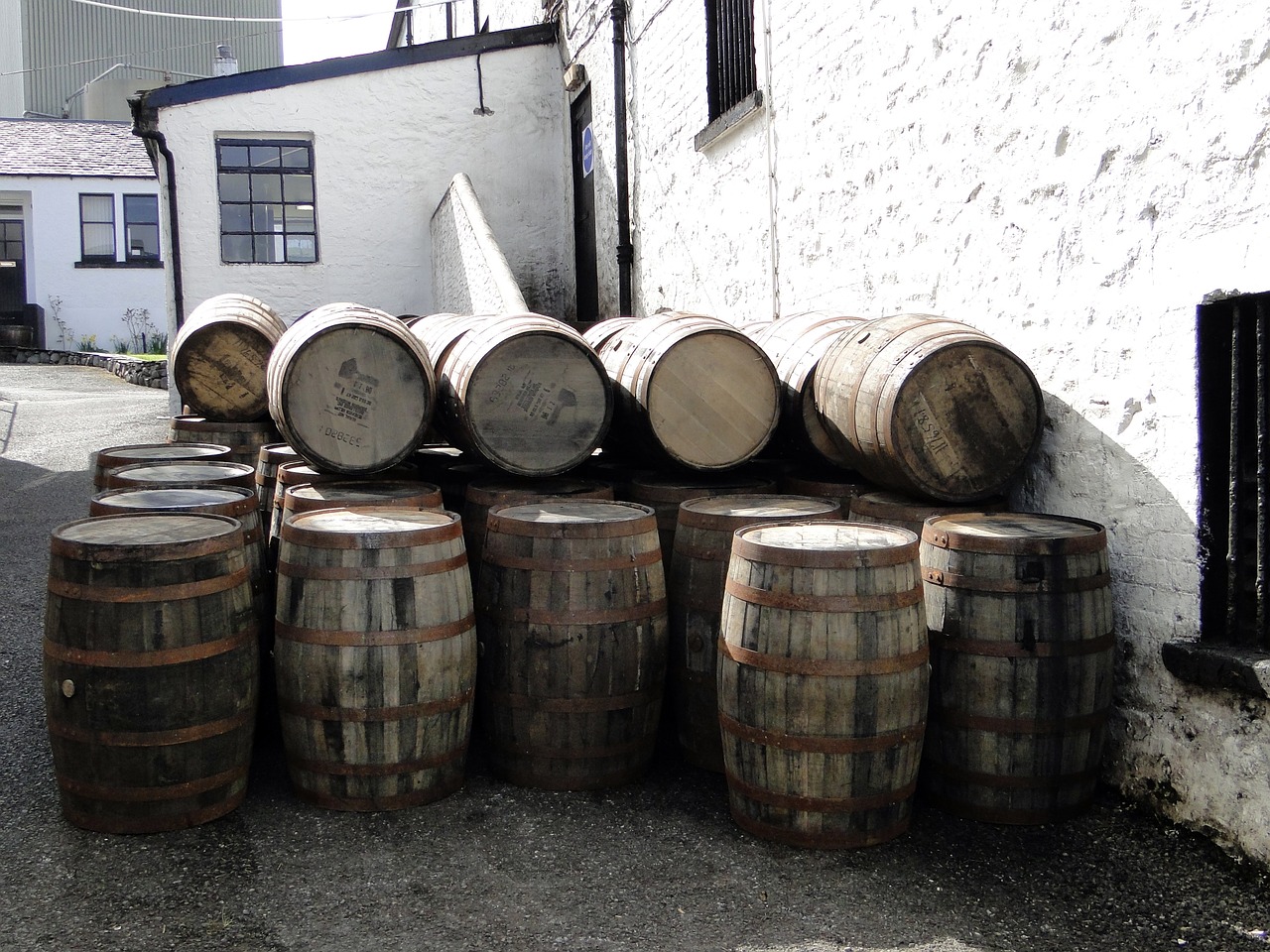 whiskey barrels wooden barrels whisky free photo