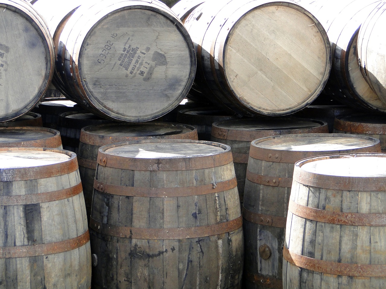 whiskey barrels wooden barrels whisky free photo