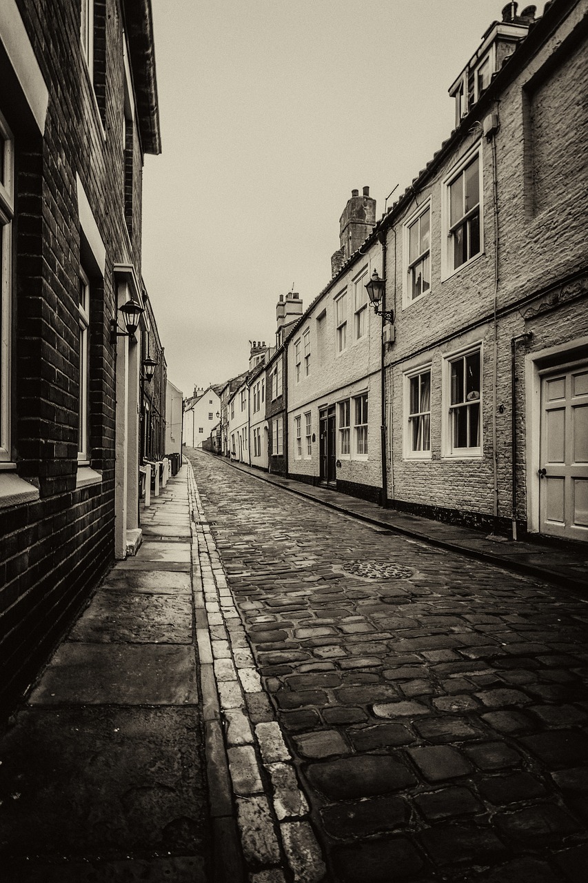 whitby kippers cobbles free photo