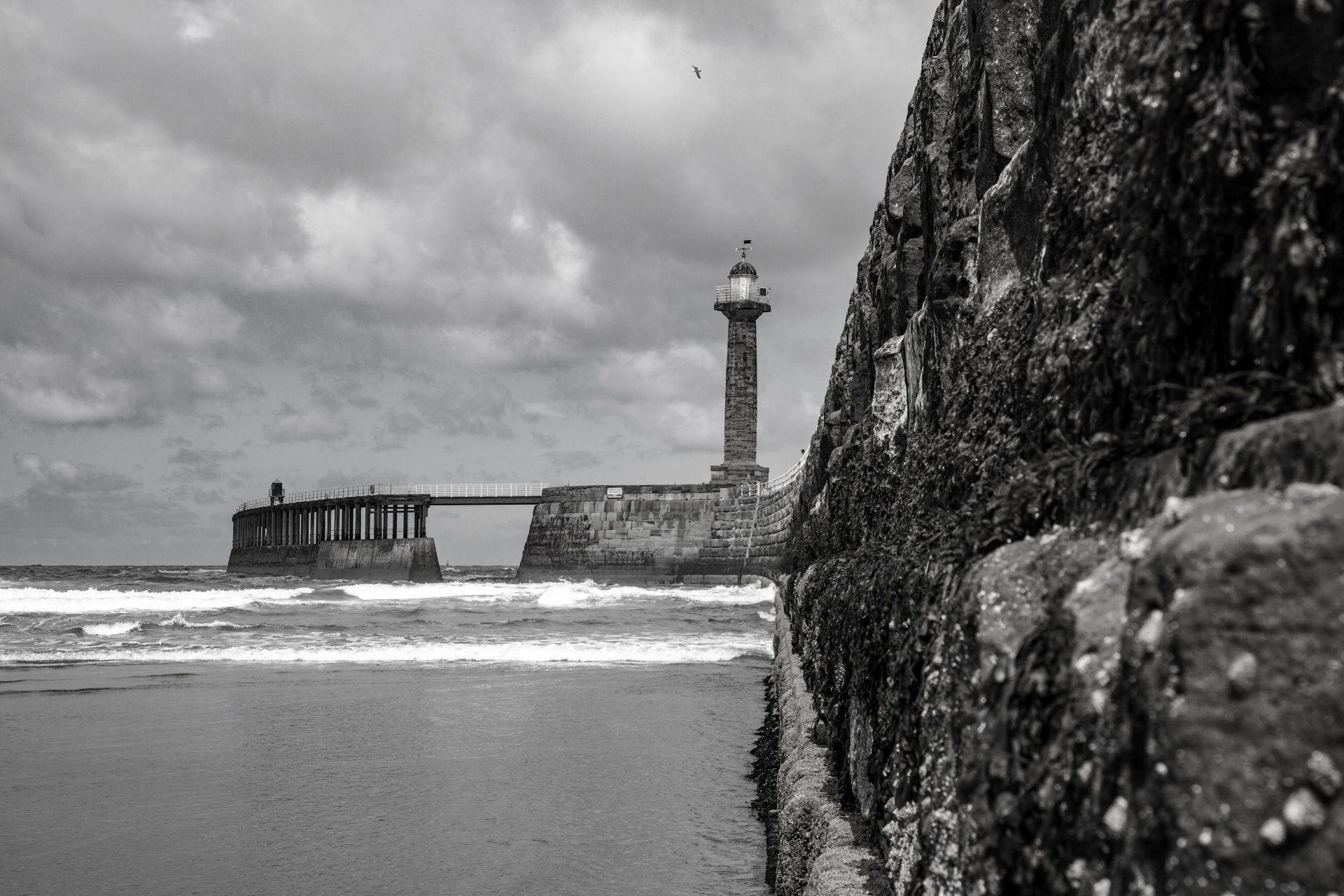 calm coast contrast free photo