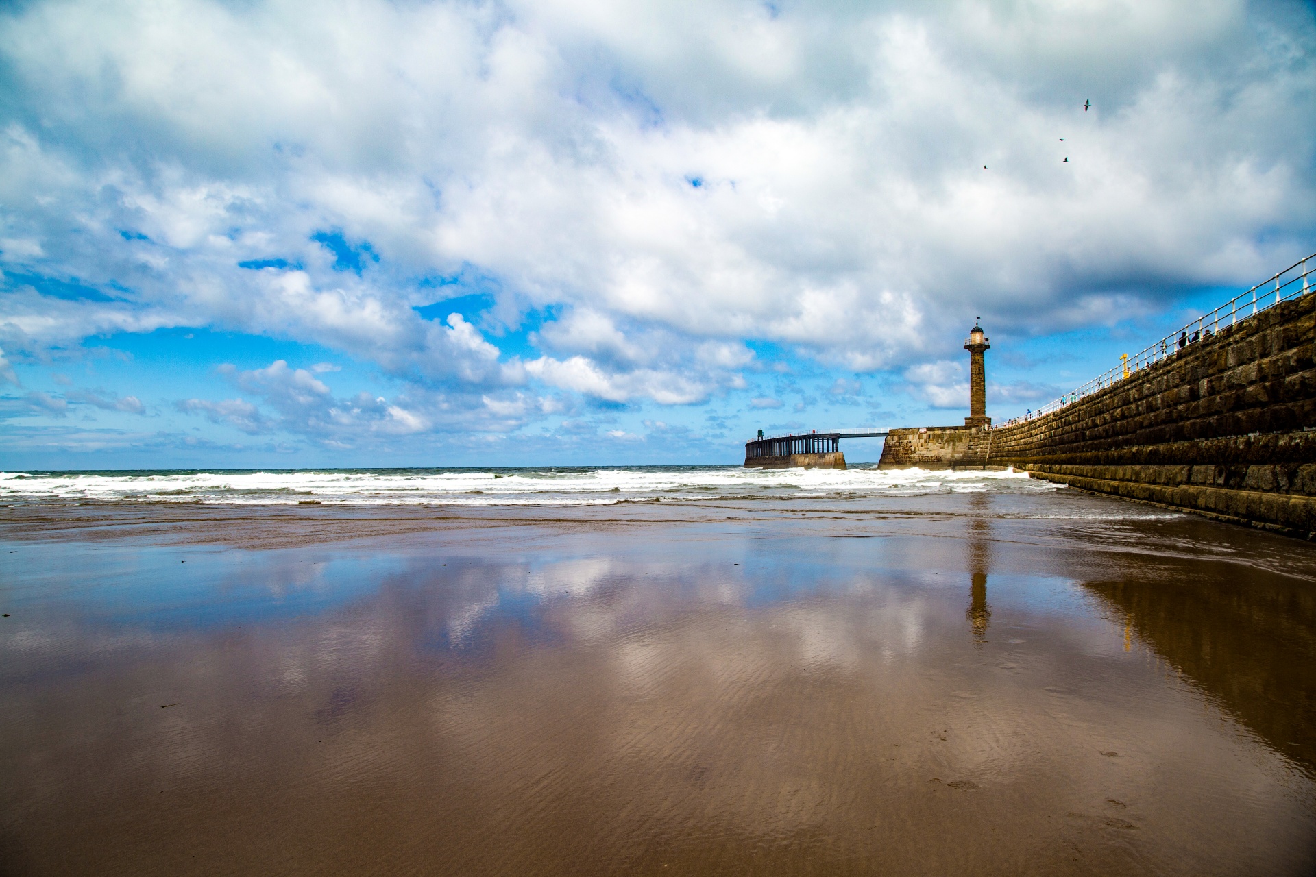 calm coast contrast free photo