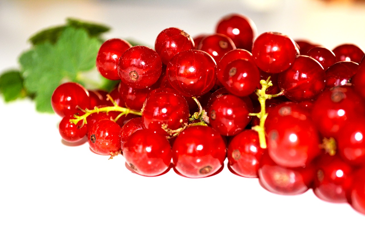 white fruit background free photo