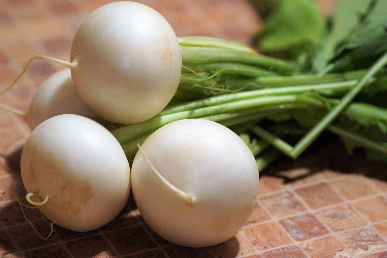 white radish turnip free photo