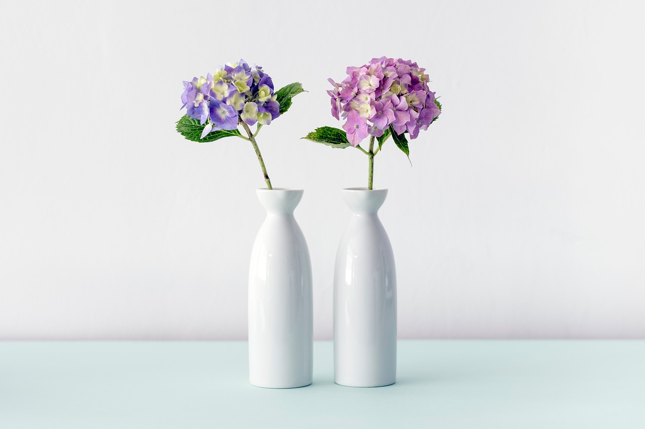 white ceramic vase free photo