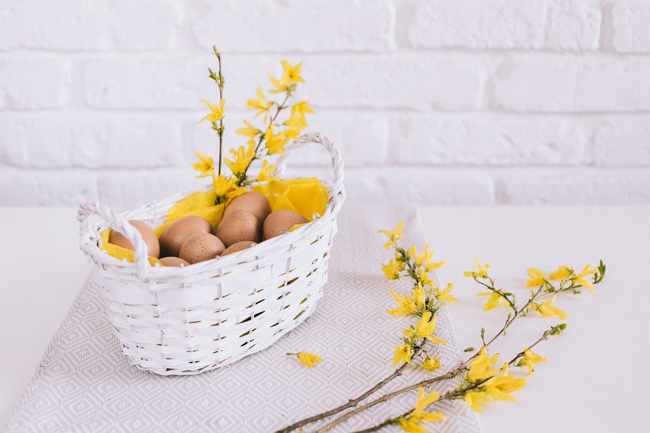 white wall basket free photo