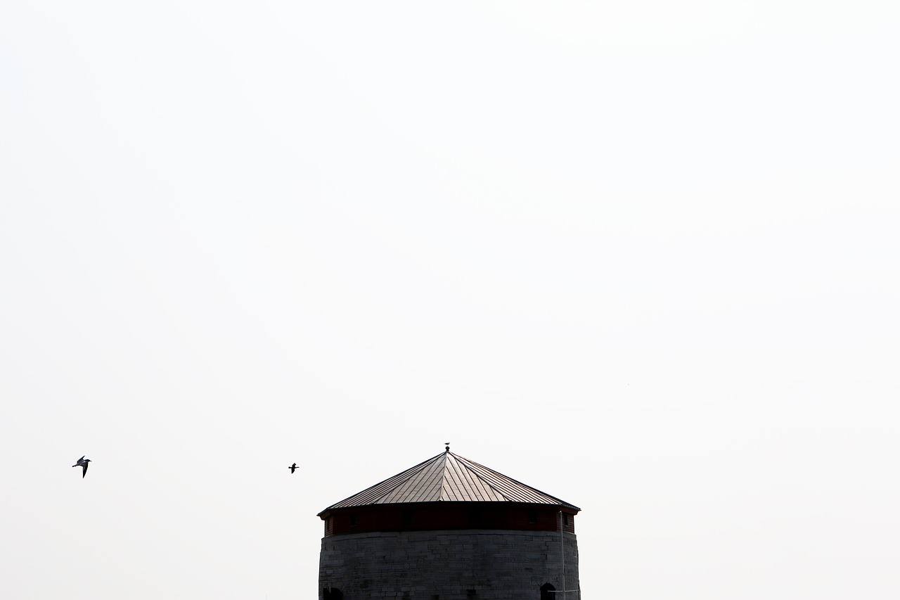 white sky birds free photo