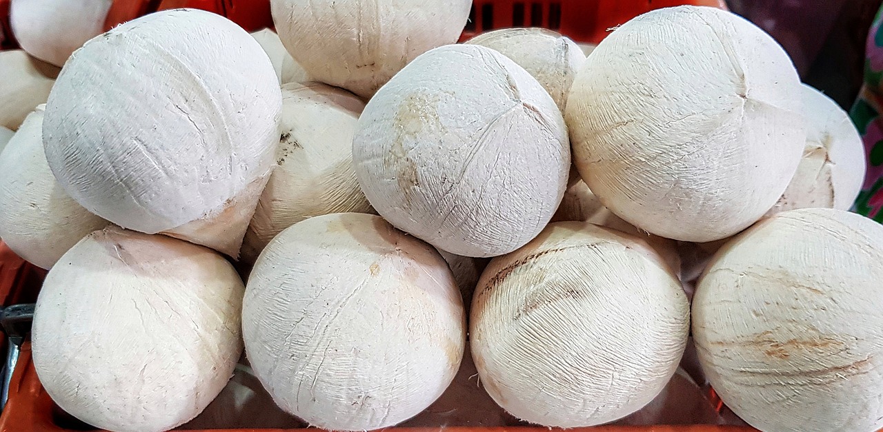 white  coconuts  food free photo