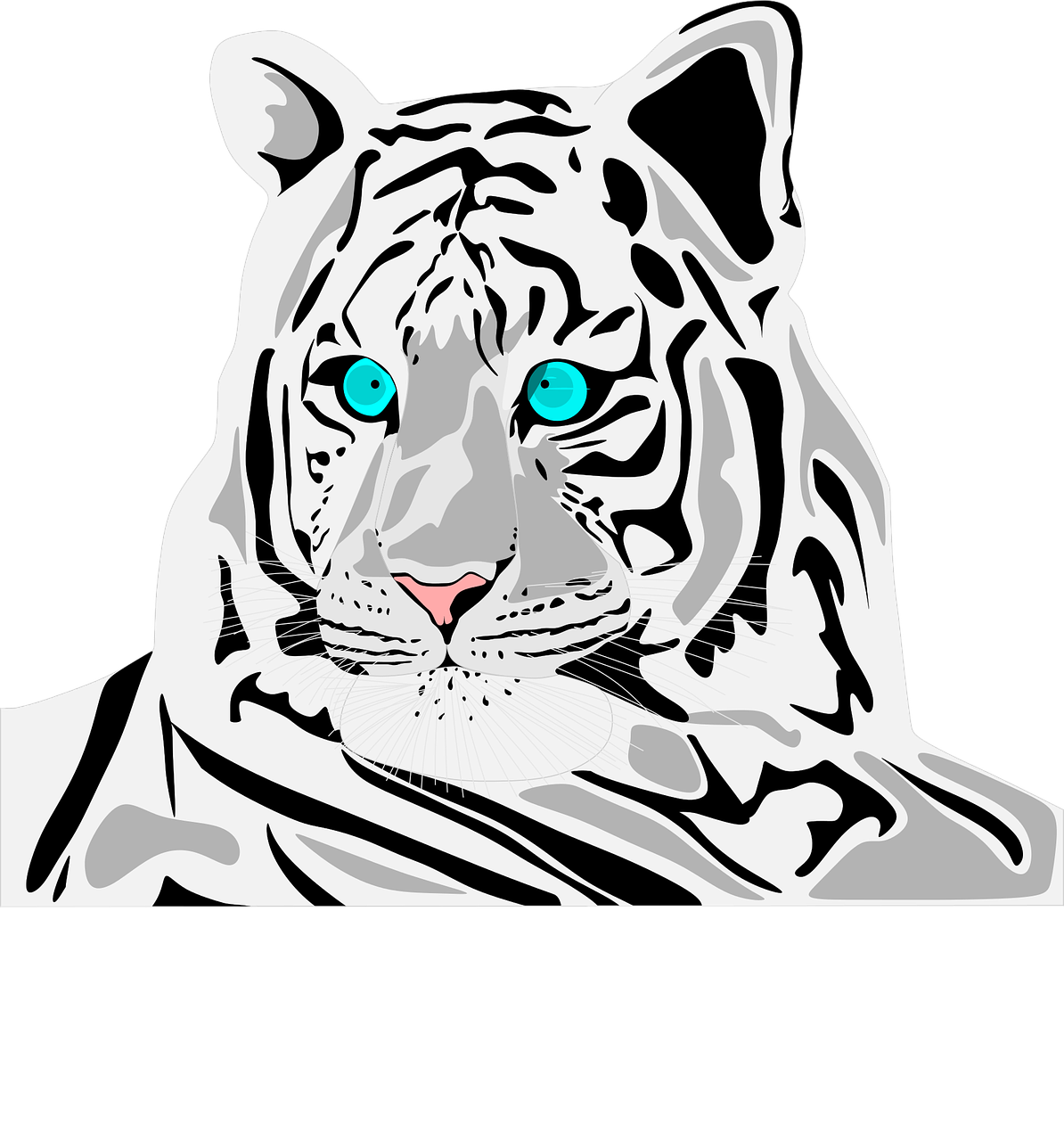 white  tiger  stripe free photo