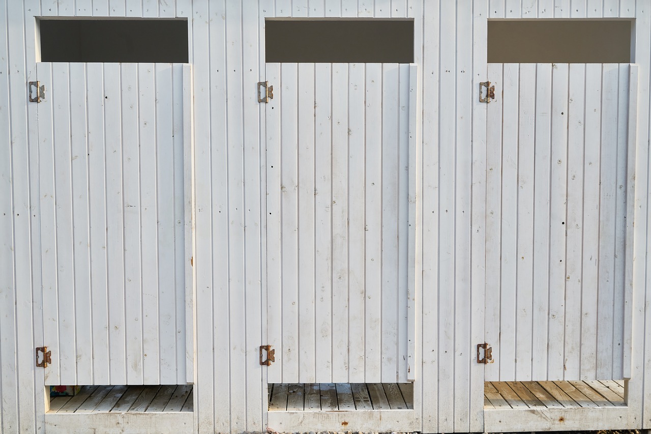 white  wood-fibre boards  door free photo