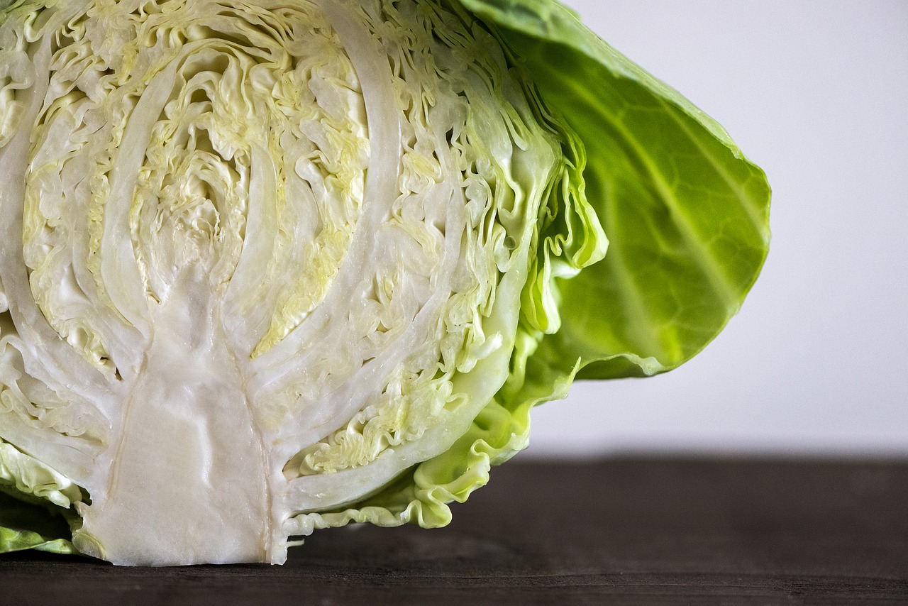 white  cabbage  vegetables free photo