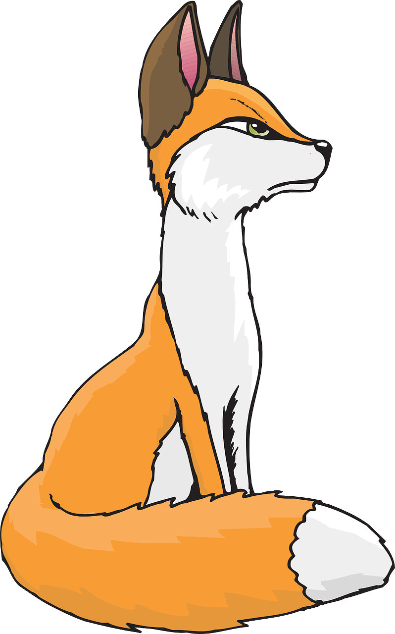 white orange fox free photo