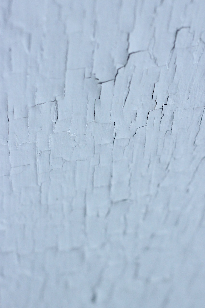 white paint chipped free photo
