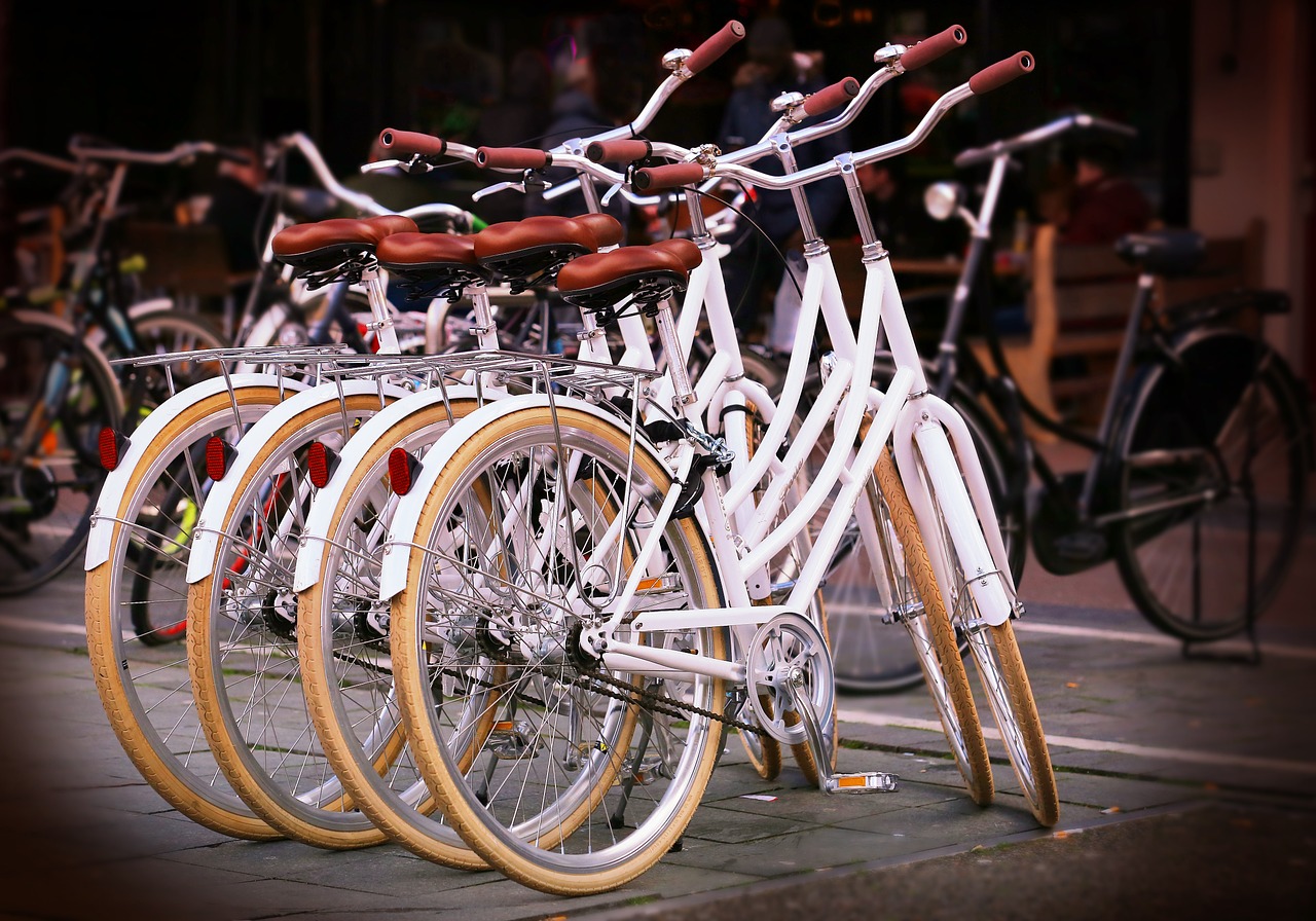 white bicycle beyazbisiklet free photo