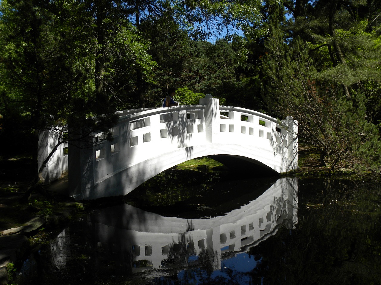 white water bridge free photo