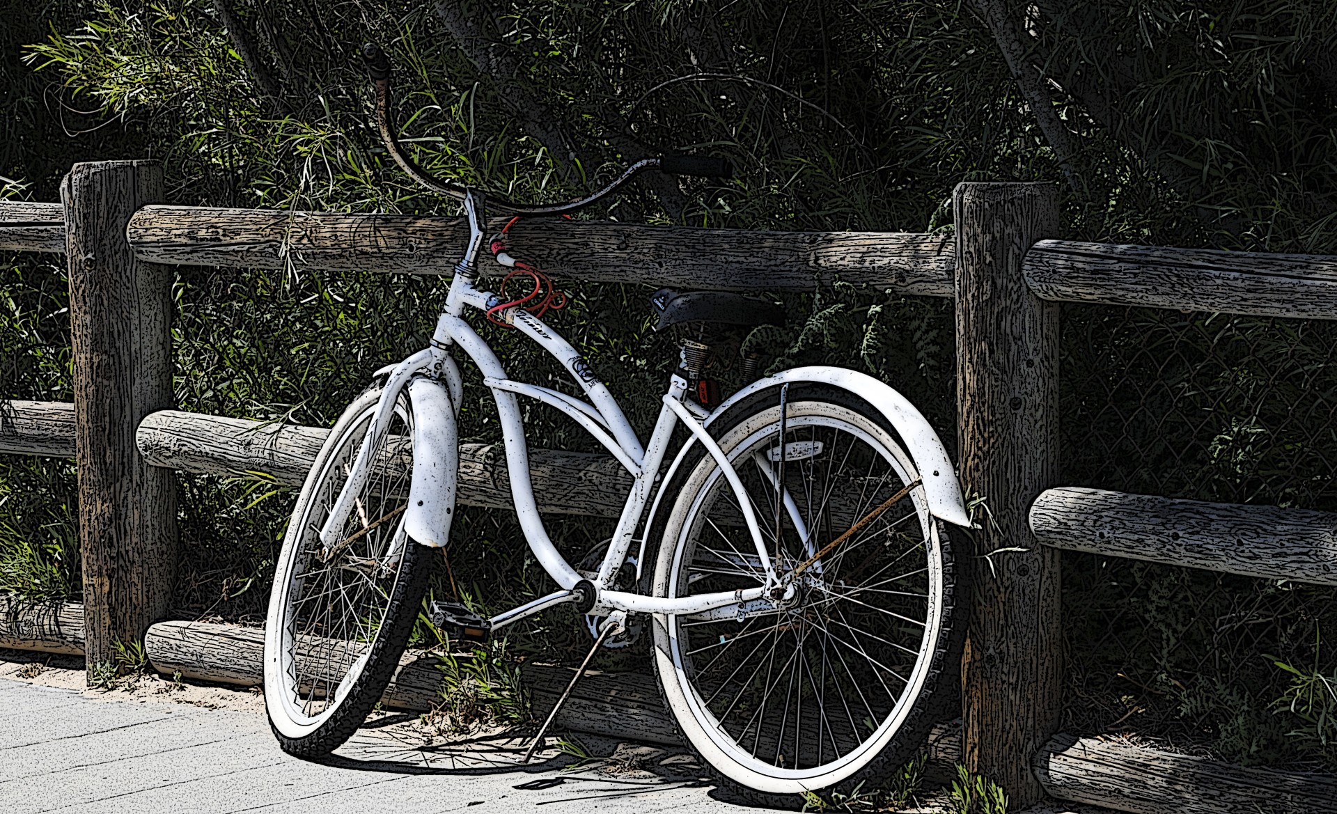 bike bicycle white free photo