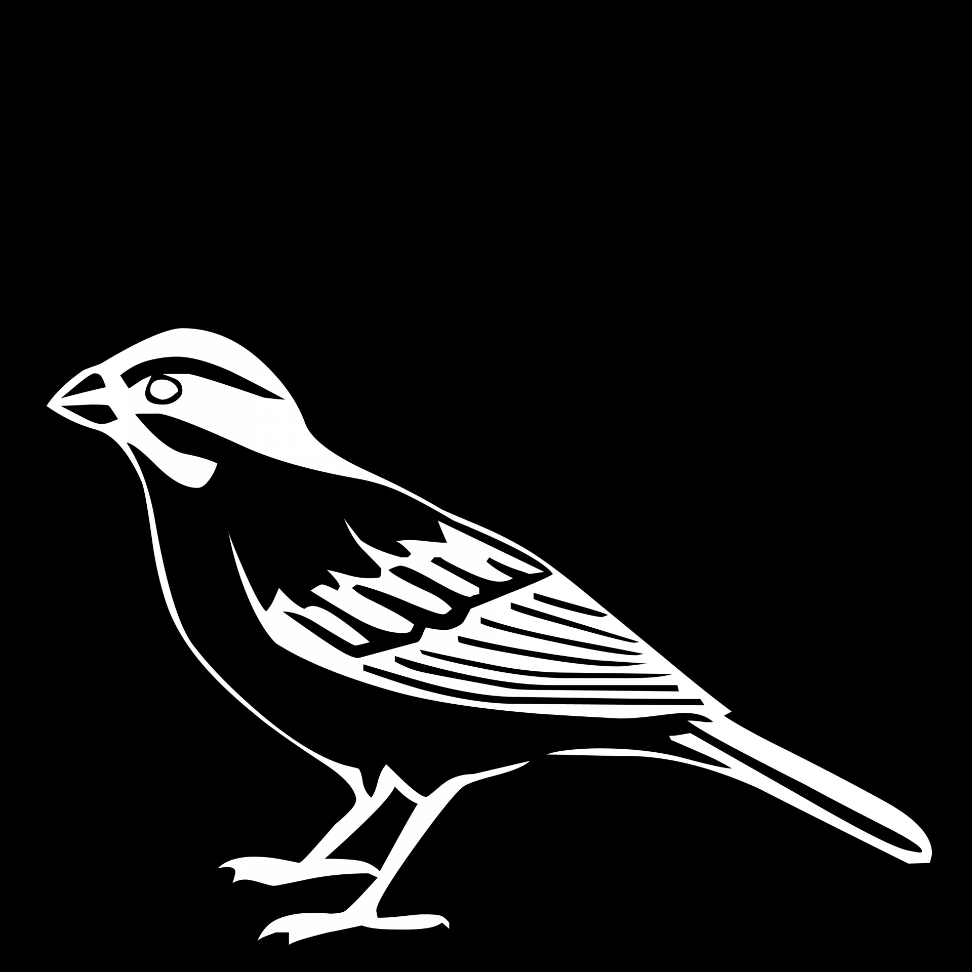 Drawing White Bird Black Background Free Image From Needpix Com