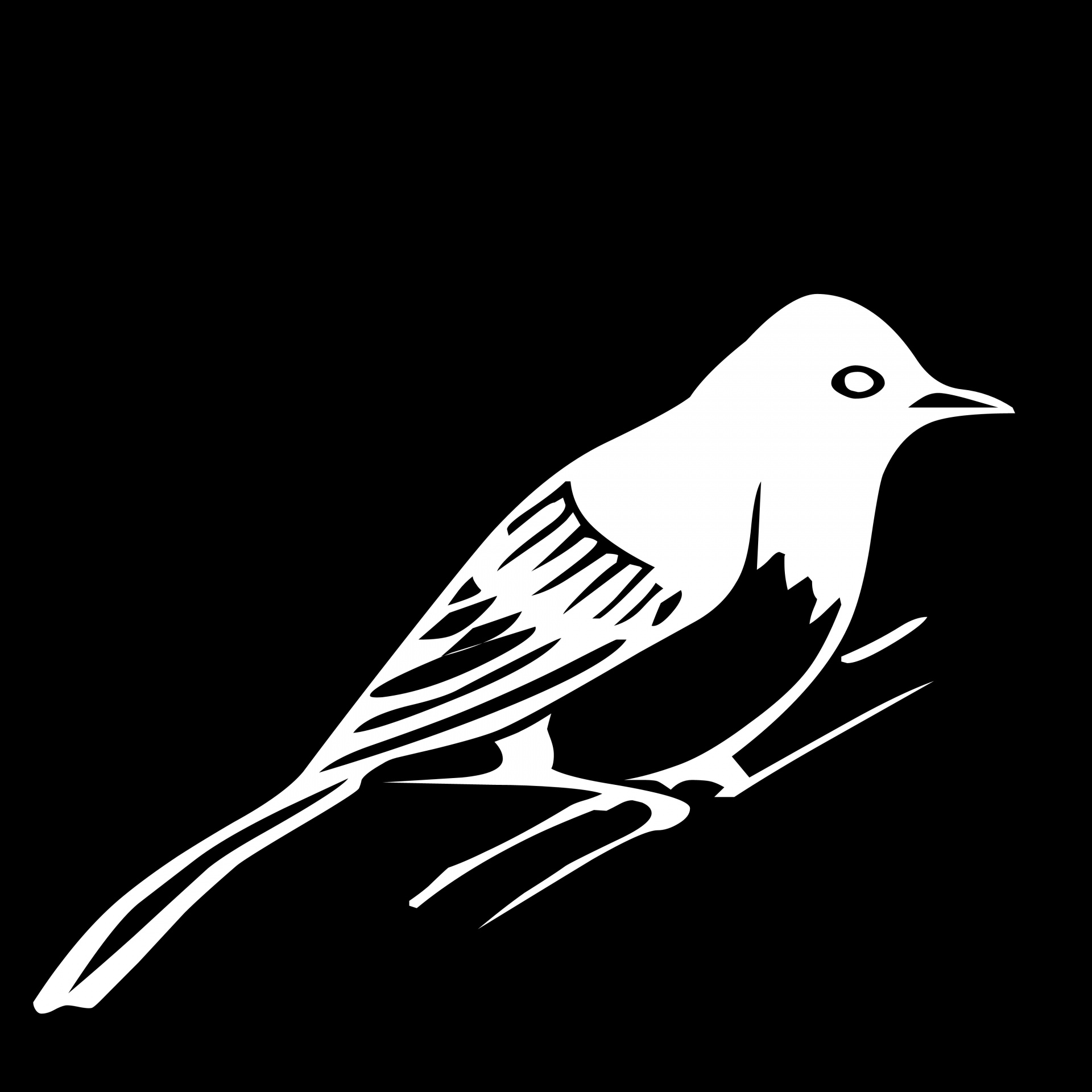 bird black and white drawing simple