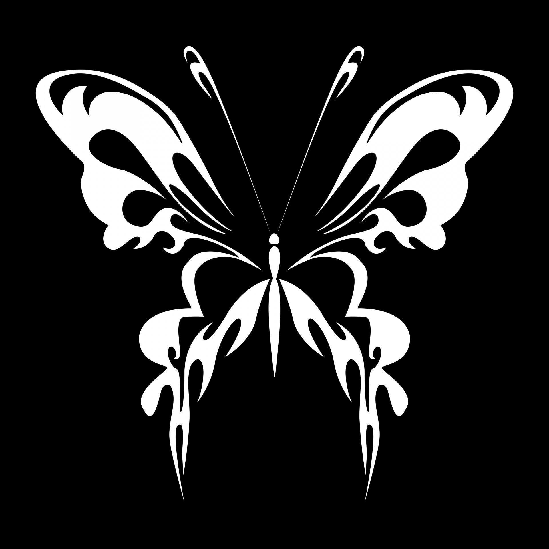 Drawing White Butterfly Black Background Free Image From Needpix Com