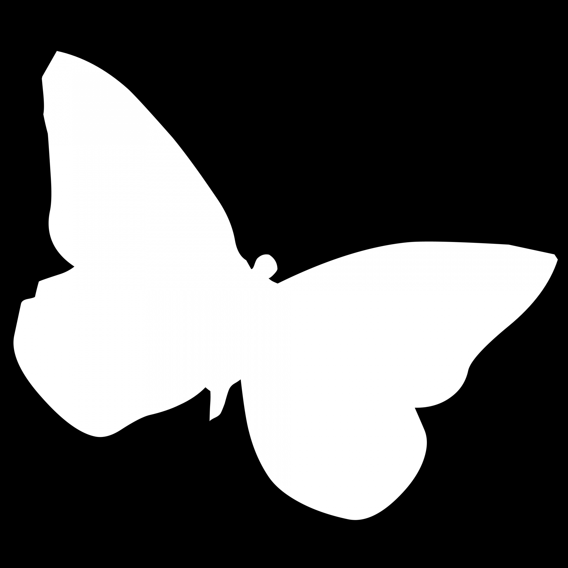 Download free photo of Drawing,white,butterfly,black,background - from  