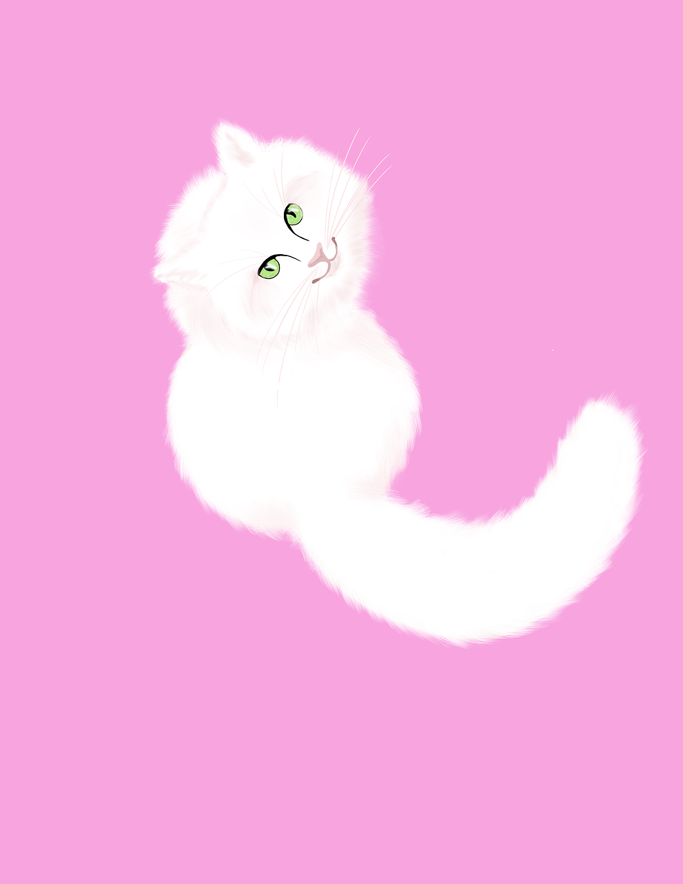 white cat  cat illustration  cat free photo