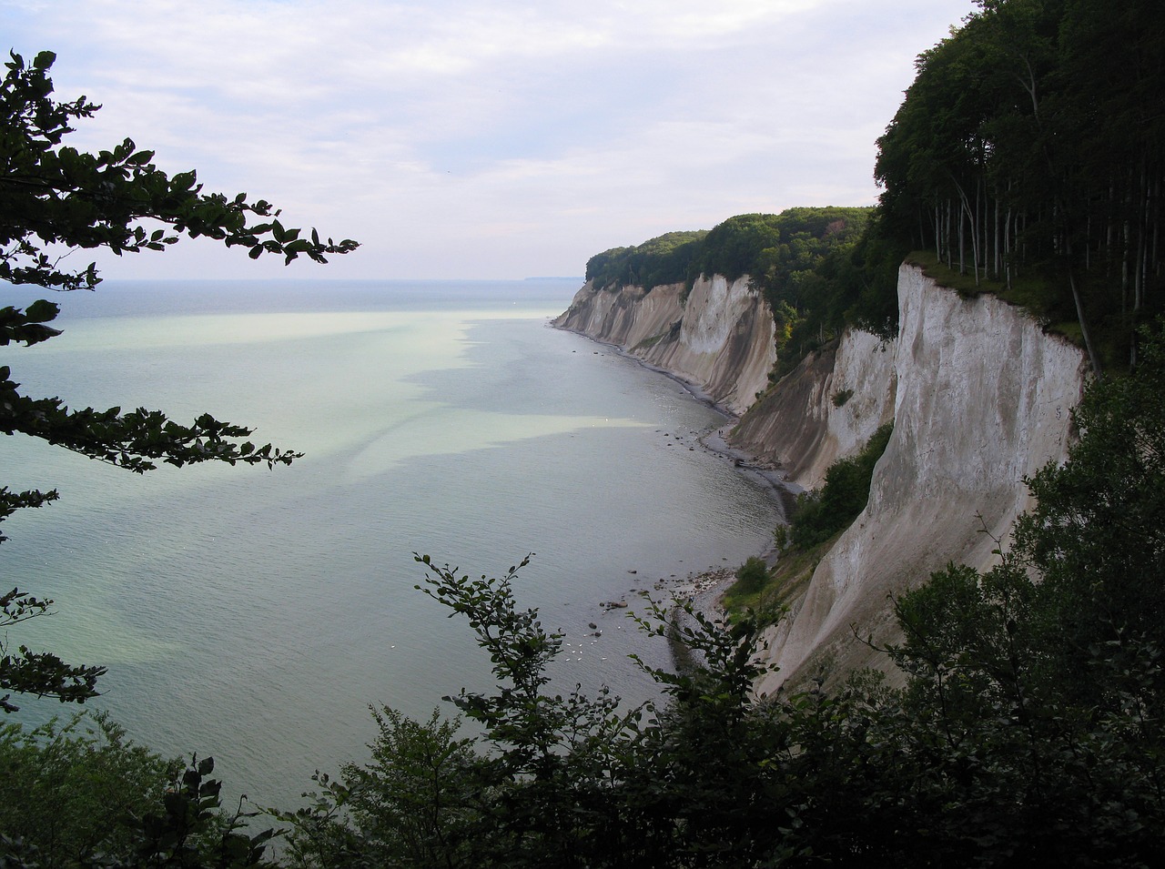 white cliffs rügen national park free photo