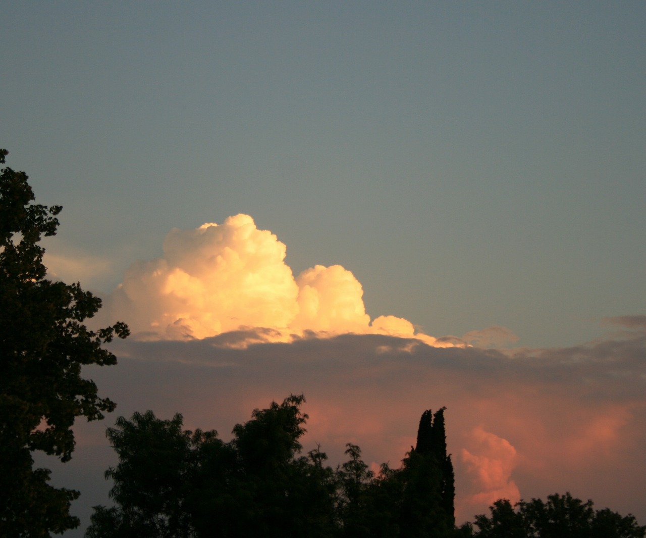 white cloud tree silhouette landscape free photo