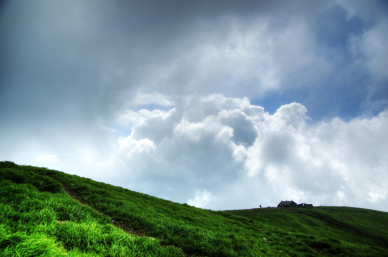 white cloud mountain tree free photo