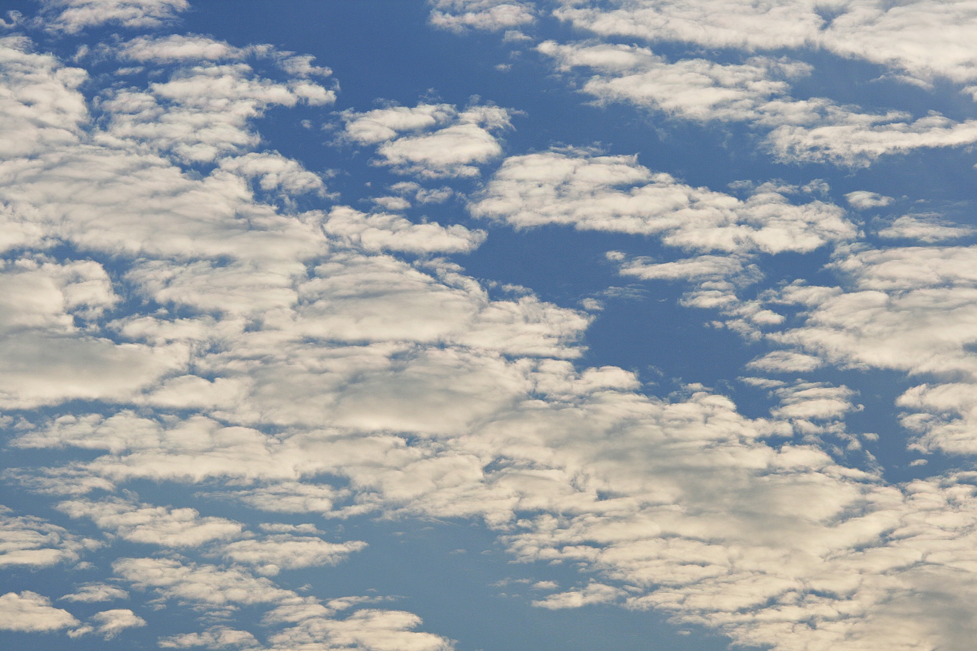 cloud spread white free photo