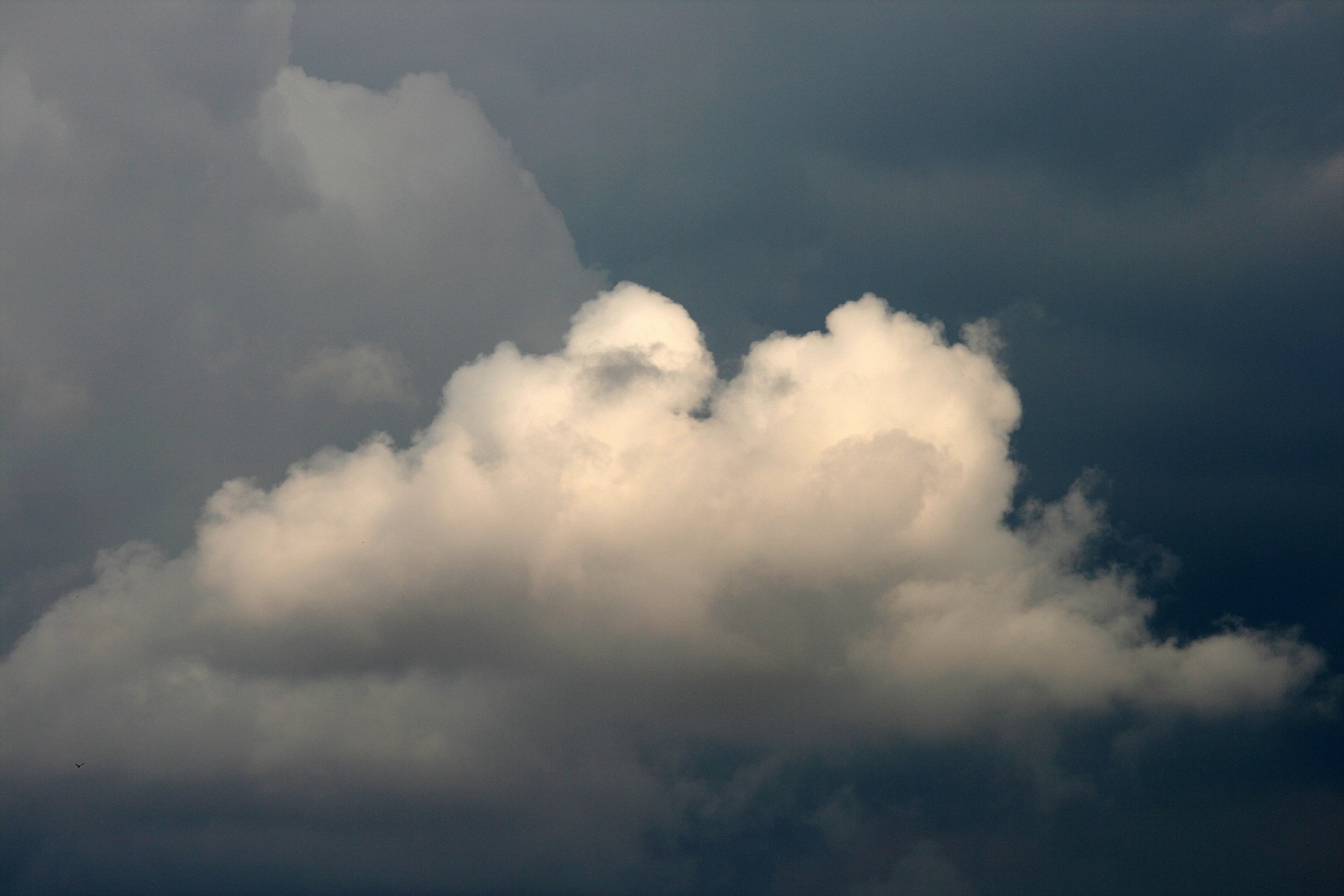 sky cloud white free photo