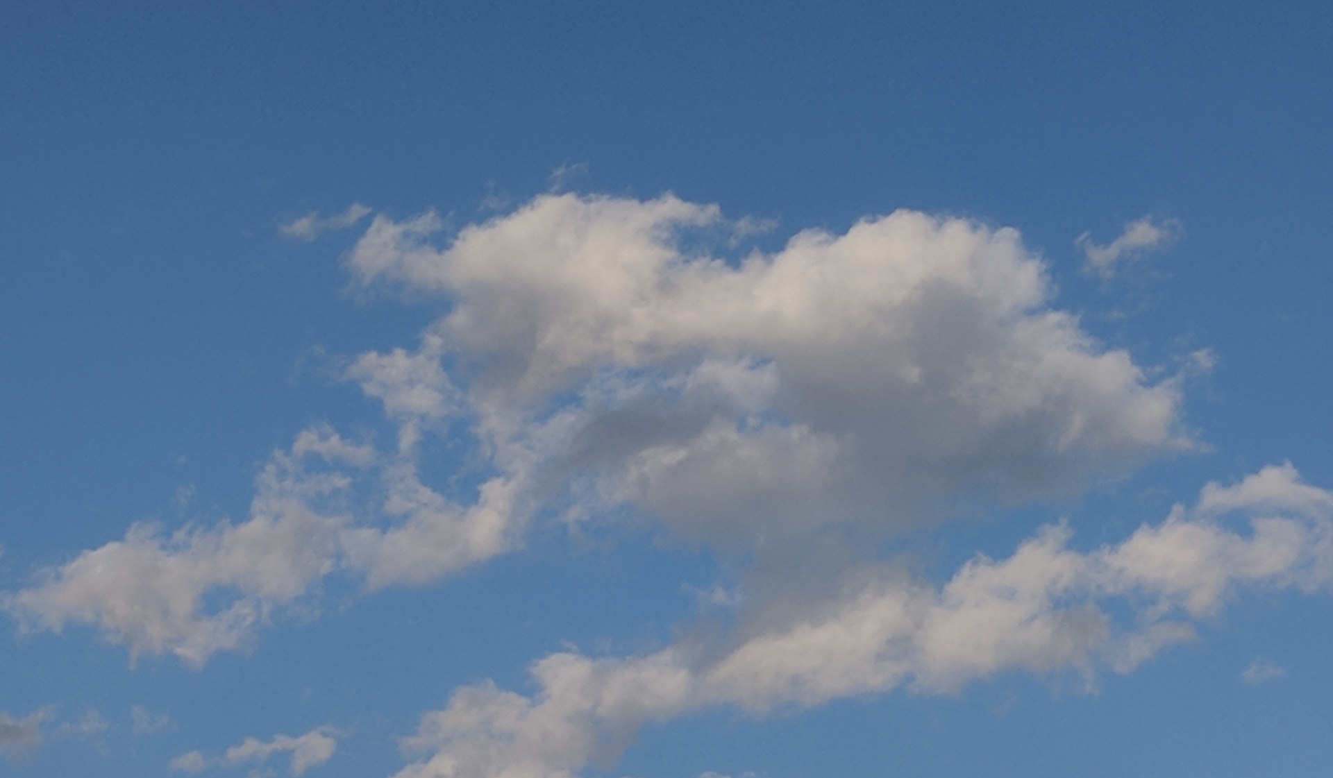 cloud clouds puffy white cloud free photo