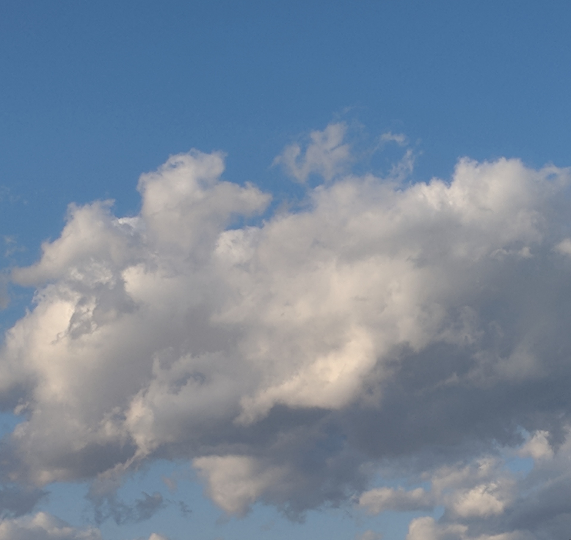 cloud clouds puffy white cloud free photo