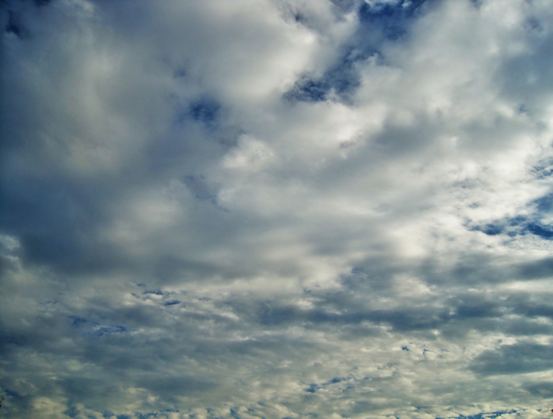 sky clouds white free photo