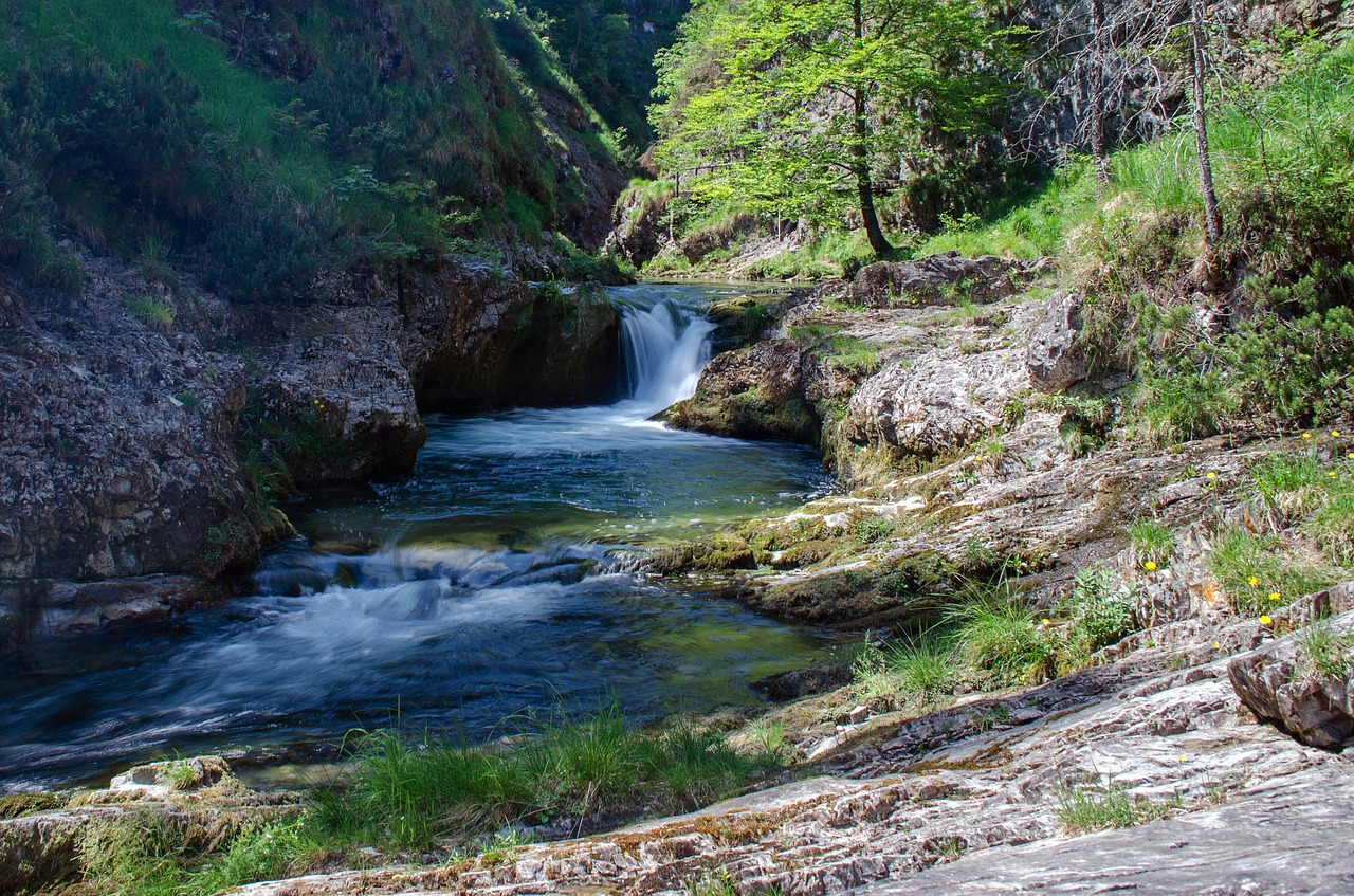 white creek canyon water waterfall free photo