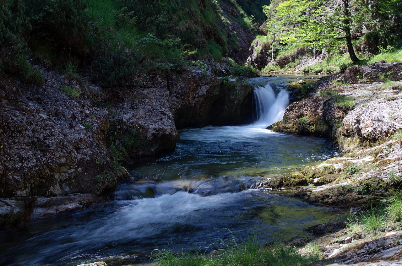 white creek canyon water waterfall free photo