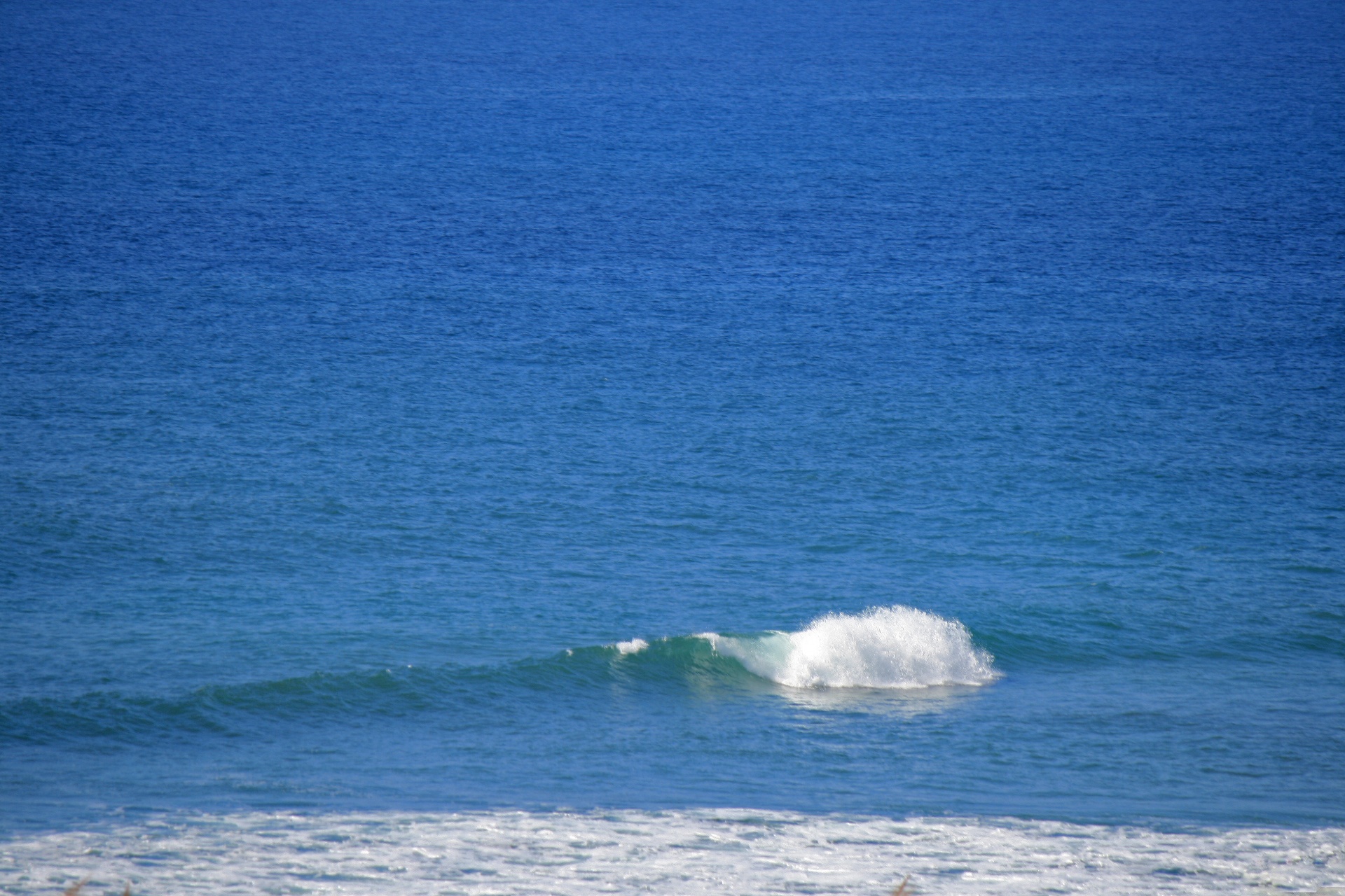sea ocean wave free photo