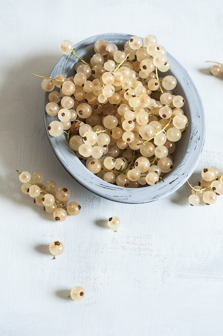 white currants currant fruit free photo
