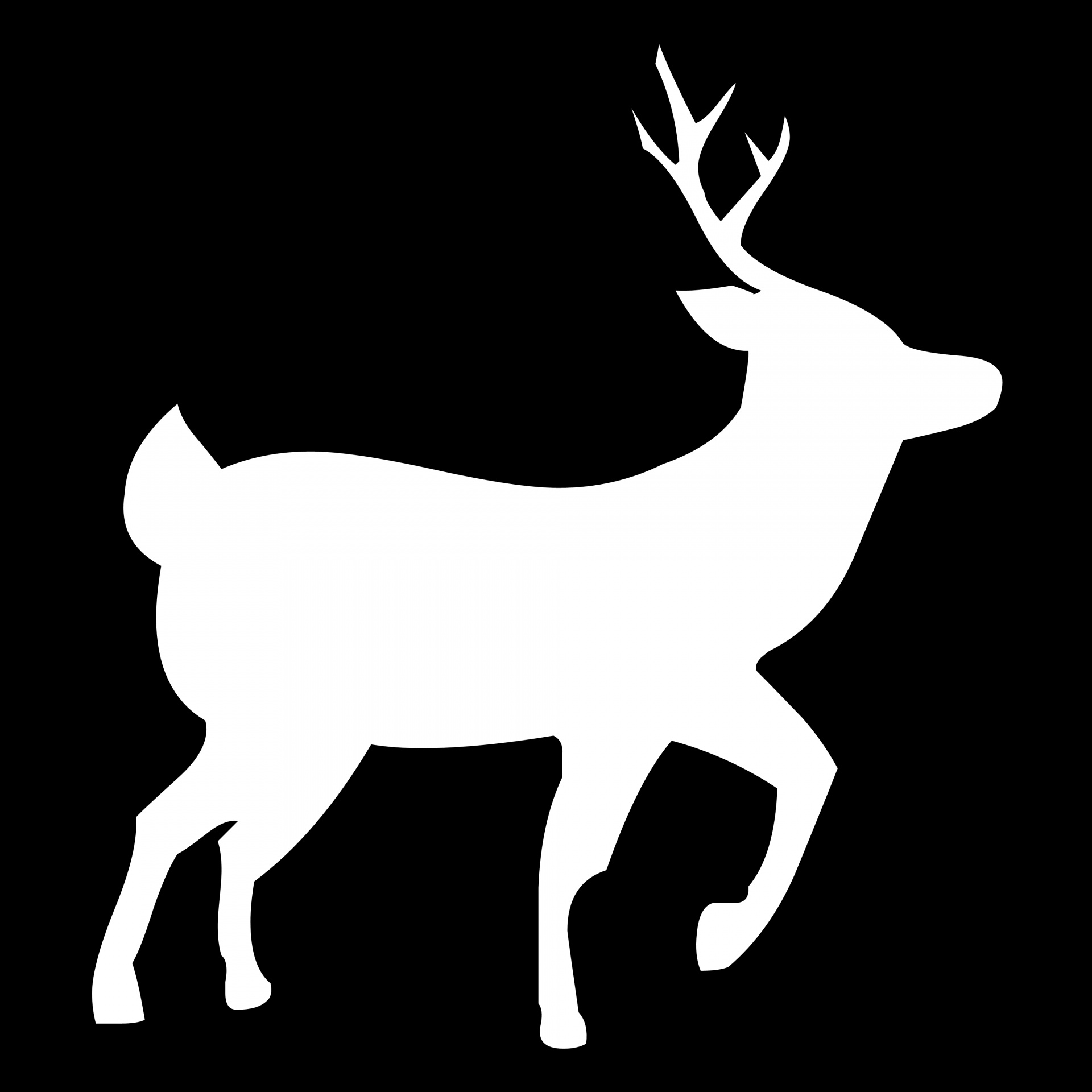 Outline sketch of little deer in doodle style Stock Vector Image  Art   Alamy