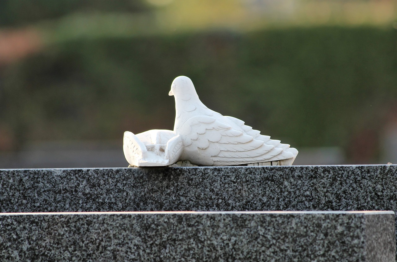 white doves  monument  gravestone free photo