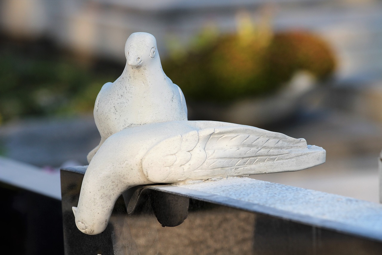 white doves  monument  cemetery free photo