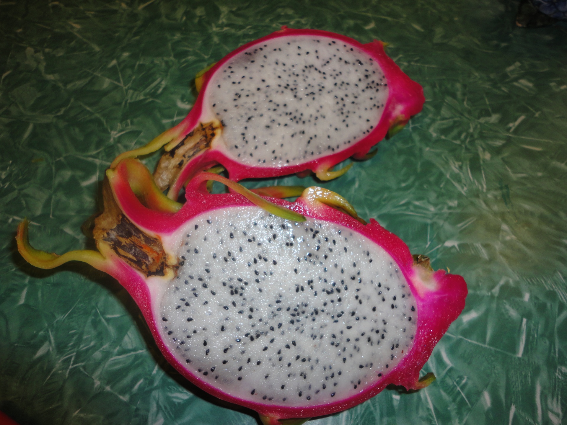 white dragon fruit sliced white dragon fruit sliced fruit free photo