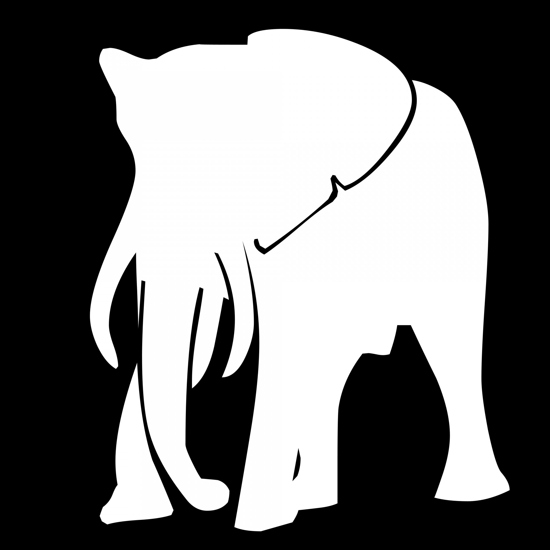 Белый слон на черном фоне