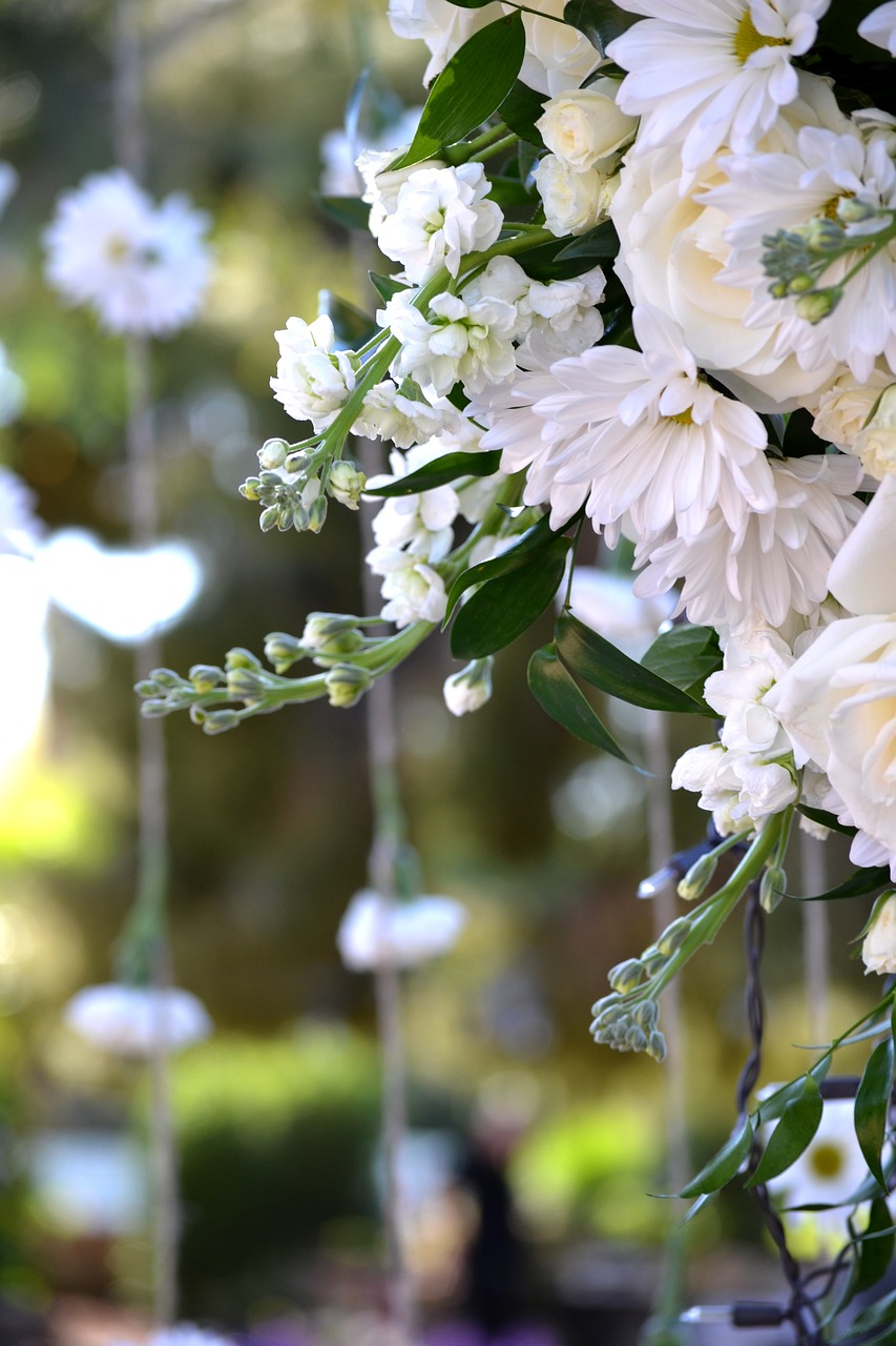 white flowers wedding decorations hanging flowers free photo