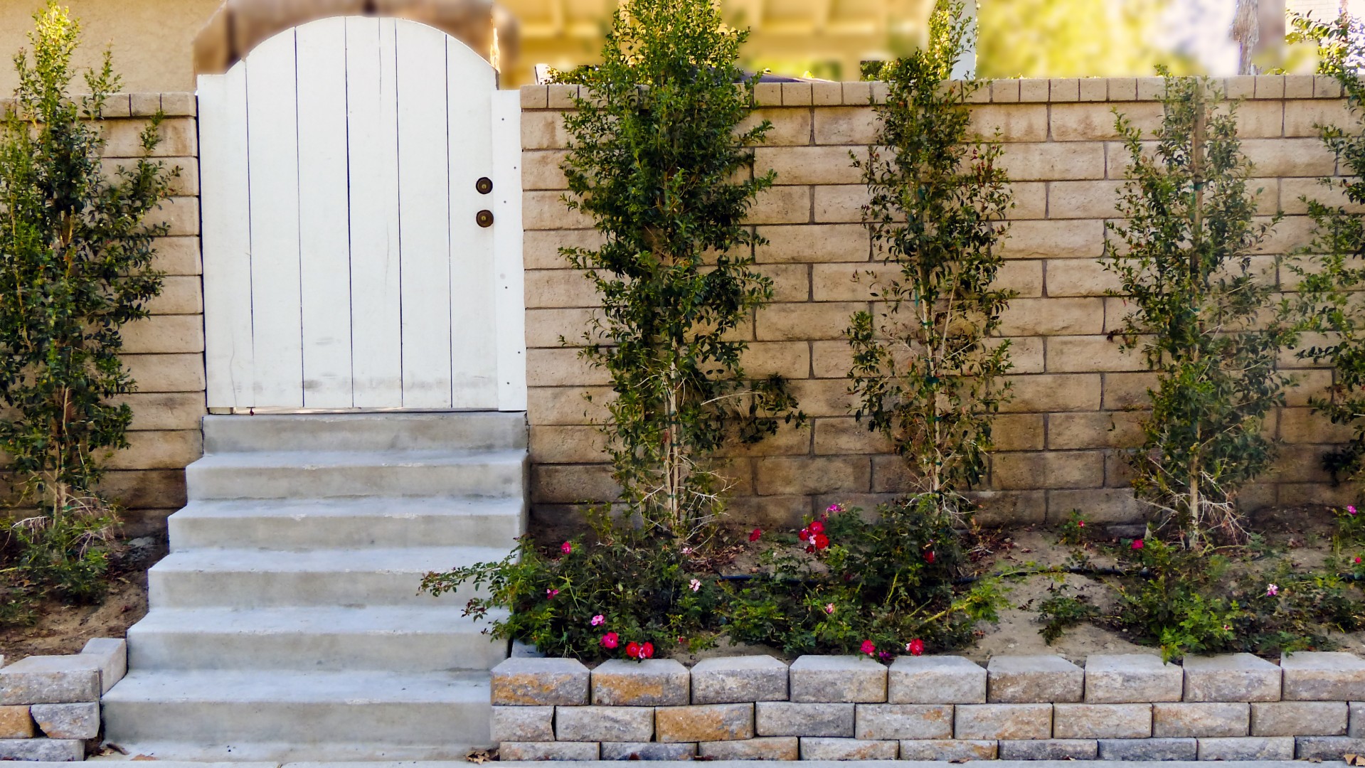 white gate steps free photo